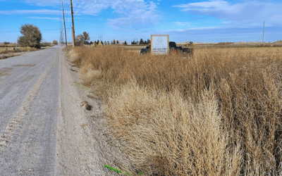 Build A Home in East Idaho